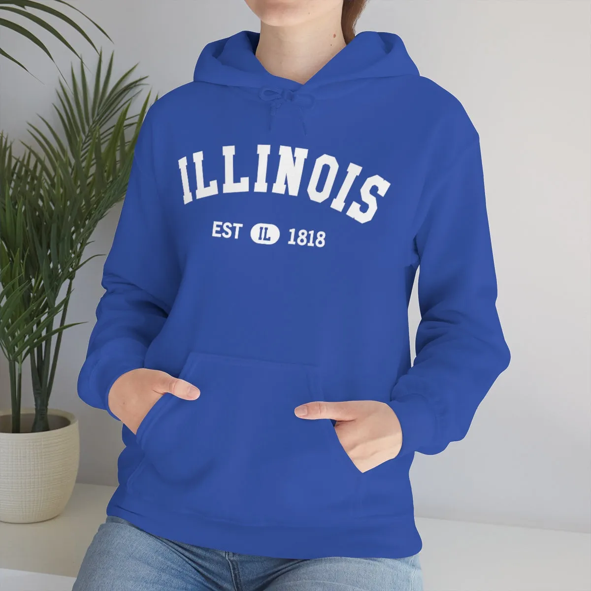 Illinois State Hoodie, I Love IL Retro Vintage Home Pride Souvenir USA Gifts Pullover Hoodie Men Women Hooded Sweatshirt