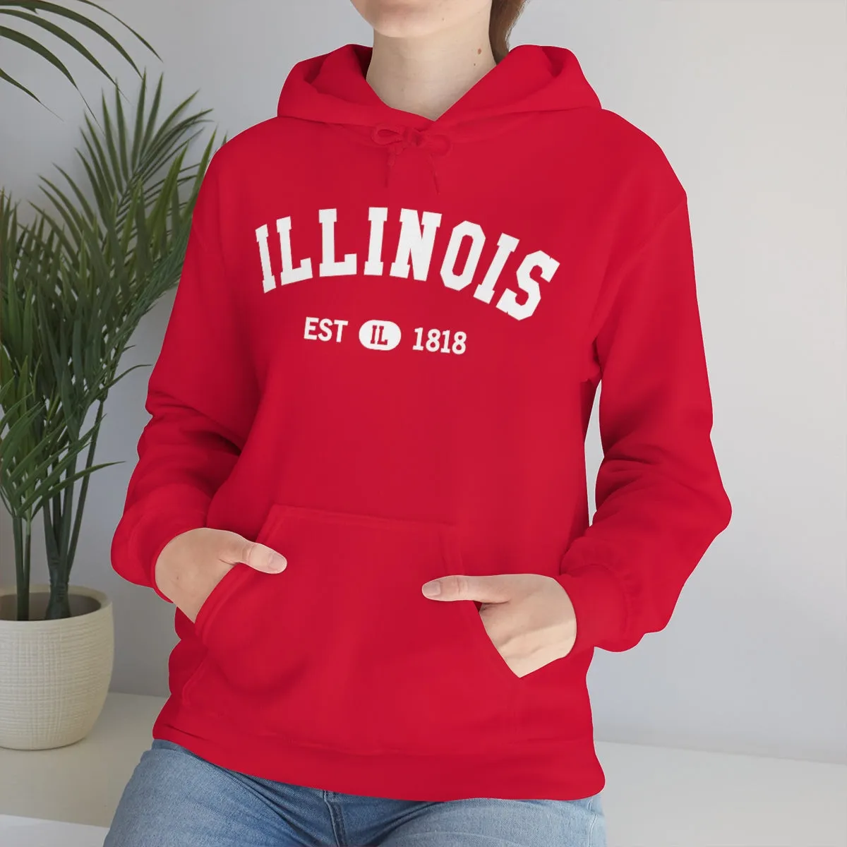 Illinois State Hoodie, I Love IL Retro Vintage Home Pride Souvenir USA Gifts Pullover Hoodie Men Women Hooded Sweatshirt